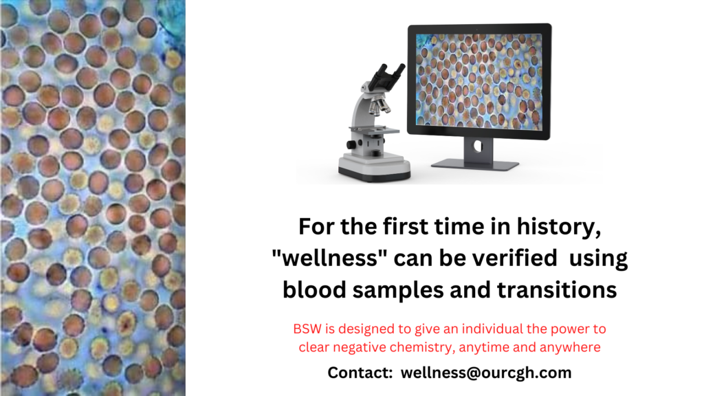 Wellness Blood Test Wellness Blood Test